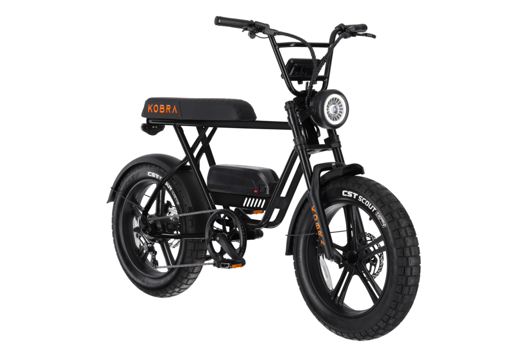 KOBRA FatBike V1.2 kaufen