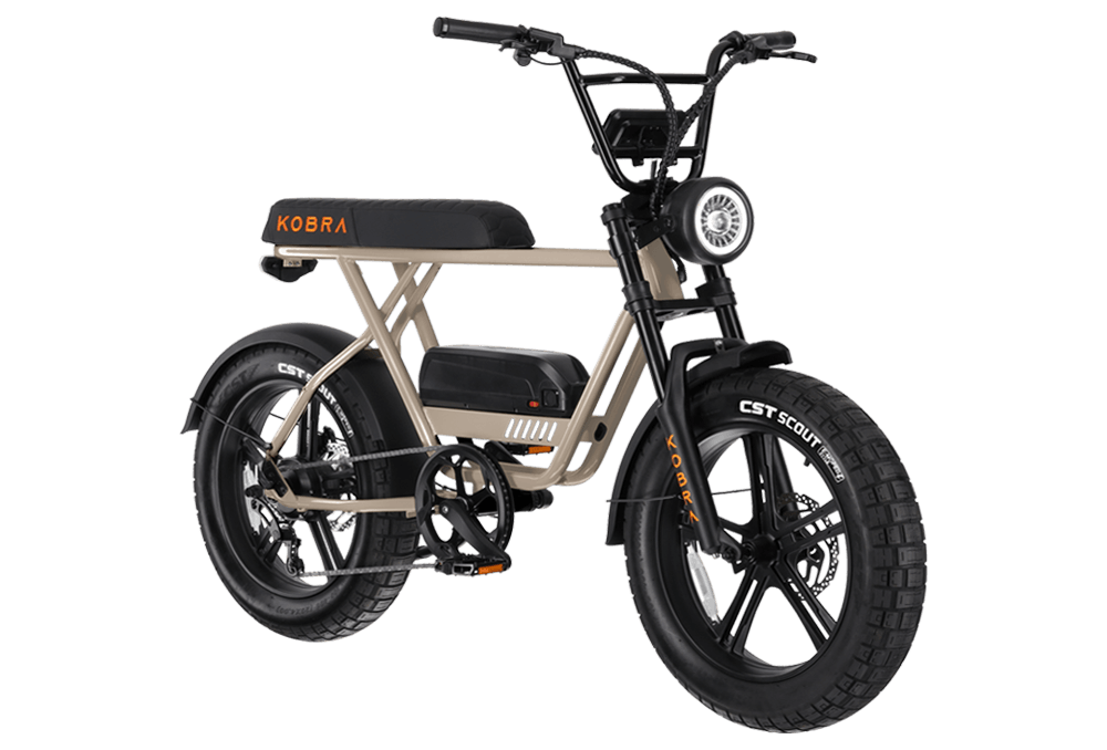 KOBRA V1.2 Saturn Grau Fatbike